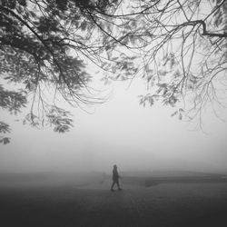 Full length of woman standing on tree trunk