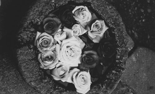 High angle view of rose bouquet