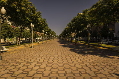 Footpath amidst trees against sky