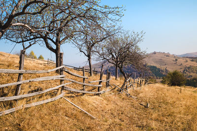 Old wooden fence with barbed wire