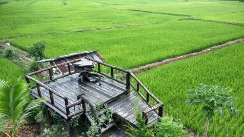 High angle view of agricultural field