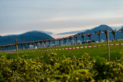 Scenic view of landscape against sky