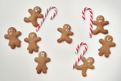 High angle view of cookies against white background