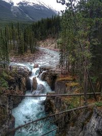Scenic view of waterfall in forest