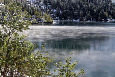 View of calm lake against trees