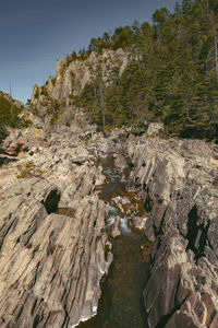 Rocks and trees on rock against sky