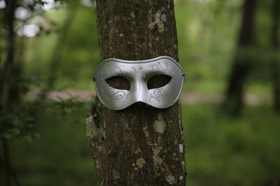 Close-up of mask on tree trunk in forest
