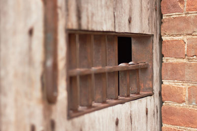 Close-up of old prison bars by brick wall