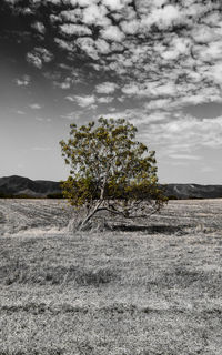 Scenic view of field against cloudy sky