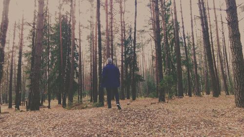 Rear view of man standing in forest