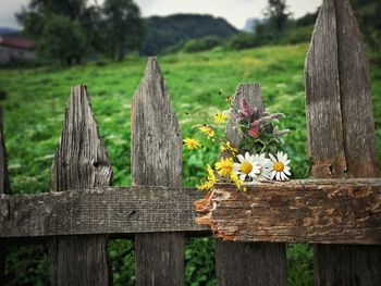 Close-up of wooden fence on field