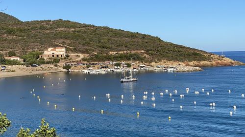 Sailboats in sea by townscape against sky