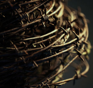 Close-up of barbed wires