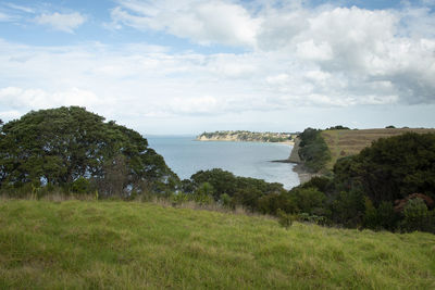 Scenic view of landscape and trees against sky