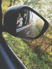 Reflection of car on side-view mirror