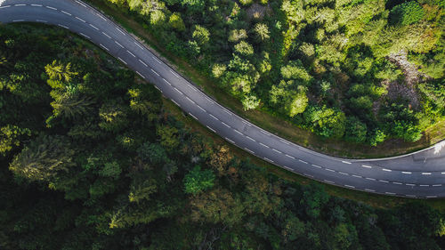 High angle view of road amidst trees