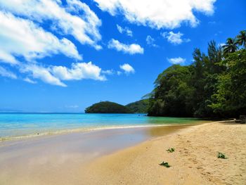 Scenic view of beach against sky