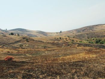 Scenic view of landscape against clear sky