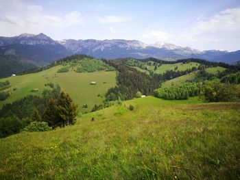 Scenic view of landscape and mountains against sky