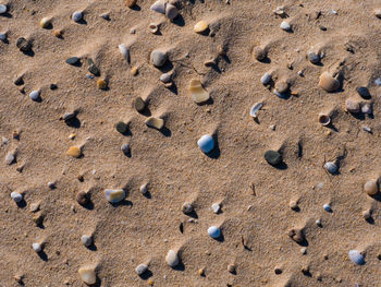 High angle view of footprints on sand at beach