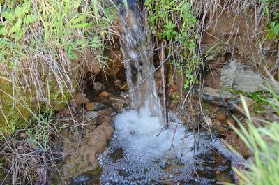 Close-up of water flowing in grass