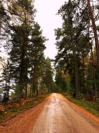 Road amidst trees in forest against sky