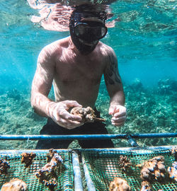 Shirtless man holding coral while swimming in sea