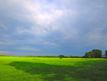 Scenic view of field against sky