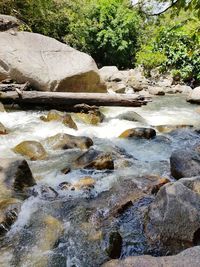 River flowing through rocks in forest