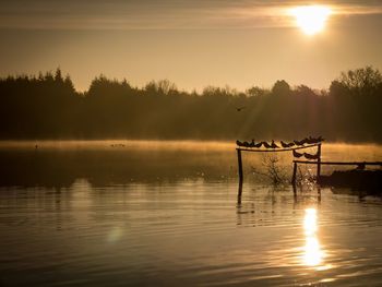 Silhouette bird on lake against sky during sunset