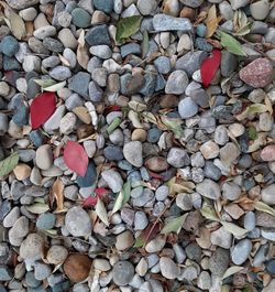 High angle view of stones on pebbles