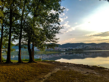 Scenic view of lake by trees against sky