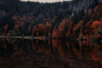 Scenic view of lake by trees during autumn