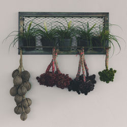 Close-up of potted plant hanging