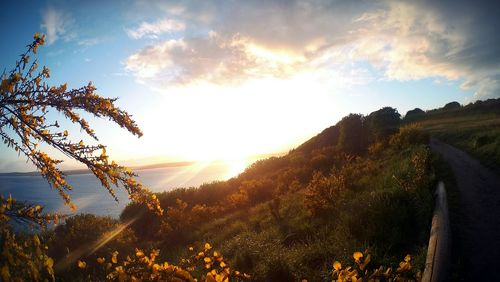 Scenic view of landscape against sky during sunset