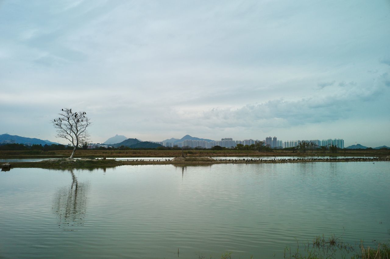 reflection, water, sky, morning, lake, cloud, nature, reservoir, scenics - nature, beauty in nature, tranquility, tranquil scene, body of water, environment, no people, tree, landscape, plant, mountain, shore, horizon, dusk, non-urban scene, outdoors, day, travel destinations, land, idyllic, architecture