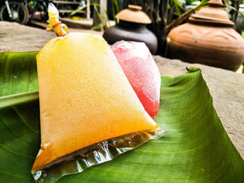 Close-up of fruit on plant