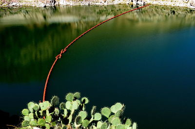 High angle view of buoys on river