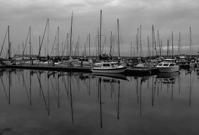 Sailboats moored in harbor