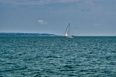 Sailboat sailing on sea against sky