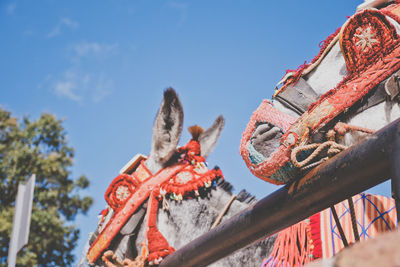 Low angle view of donkeys with bridles against sky