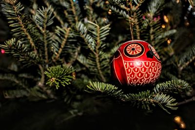 Close-up of christmas decoration hanging on tree