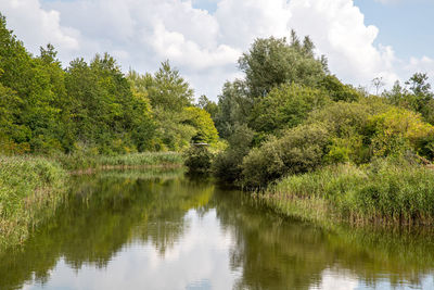 Scenic view of lake by trees against sky