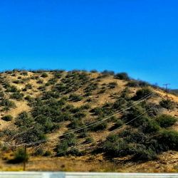Scenic view of landscape against clear blue sky