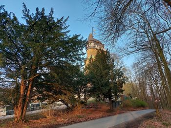 Low angle view of trees and buildings against sky