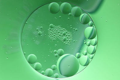 Close-up of water drops on leaf