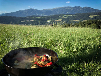 High angle view of meat on field