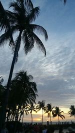 Silhouette palm trees at beach against sky