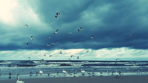 Birds flying over beach against sky