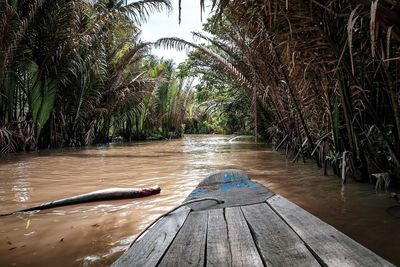 Scenic view of river in forest